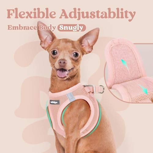 rabbitgoo Step-in Small Dog Harness, Puppy Vest - Image 6