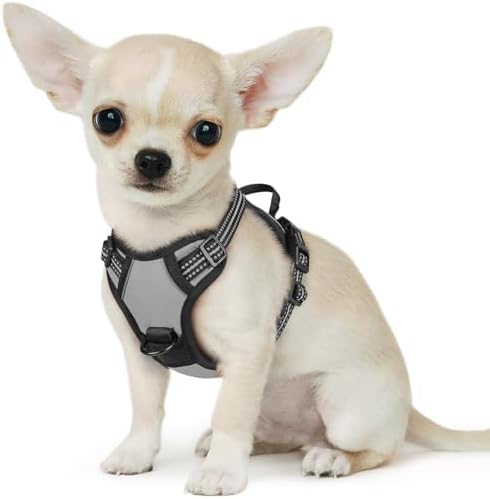 Eagloo Dog Harness for Small Dogs, No Pull Pet Vest by GoExplorewithEagloo
