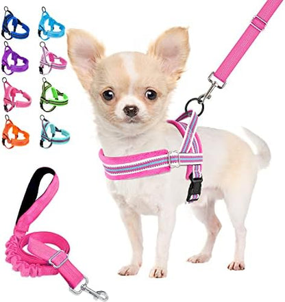 Lukovee Small Dog Harness and Leash Set, No Pull Soft Padded Vest by Lukovee