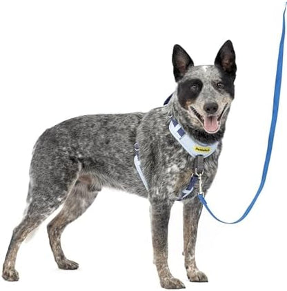 PetSafe Easy Walk Comfort No Pull Dog Harness by PetSafe