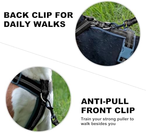 Plutus Pet No Pull Dog Harness, Adjustable Nylon Harness - Image 4