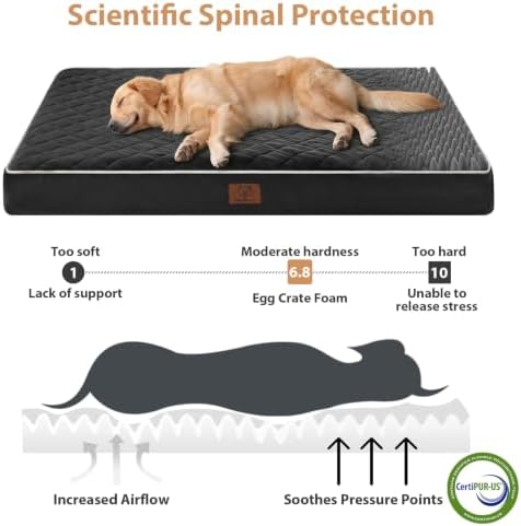 WNPETHOME Orthopedic XXL Dog Beds - Image 3