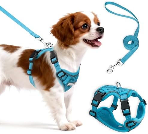 Small Dog Harness and Leash Set, Adjustable Small Sized Pet Vest by Unknown