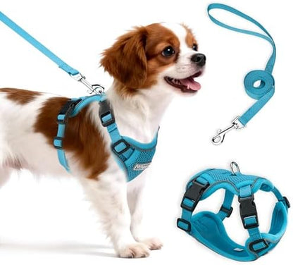 Small Dog Harness and Leash Set, Adjustable Small Sized Pet Vest by Unknown