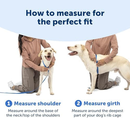 PetSafe Easy Walk Comfort No Pull Dog Harness - Image 5