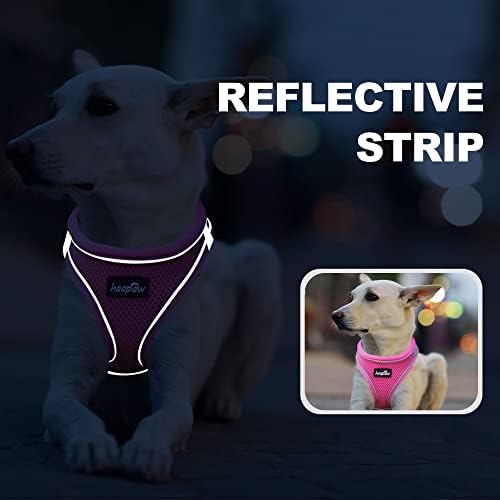 haapaw Dog Harness with Leash Set, No Pull Adjustable Reflective Step-in Puppy - Image 5
