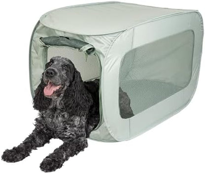 SportPet Designs Soft Sided Pop-Open Kennels, Light Green by SportPetDesigns