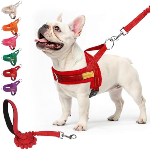 BEAUTYZOO Dog Harness Medium Sized and Leash Set, No Pull Step in Pet Vest by BEAUTYZOO