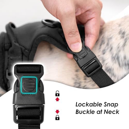 Sunraymascota No Pull Dog Harness - Image 2
