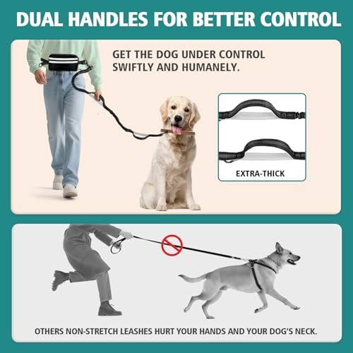 Hands Free Double Dog Leash for 2 Dogs - Image 6