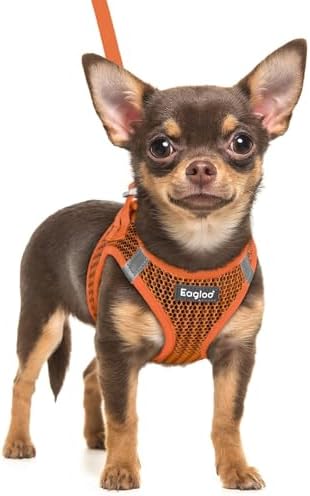 Eagloo Small Dog Harness and Leash Set, Step in Extra Small Puppy Pet Vest by GoExplorewithEagloo