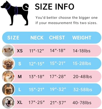 IVY&LANE No Pull Dog Harness - Image 2