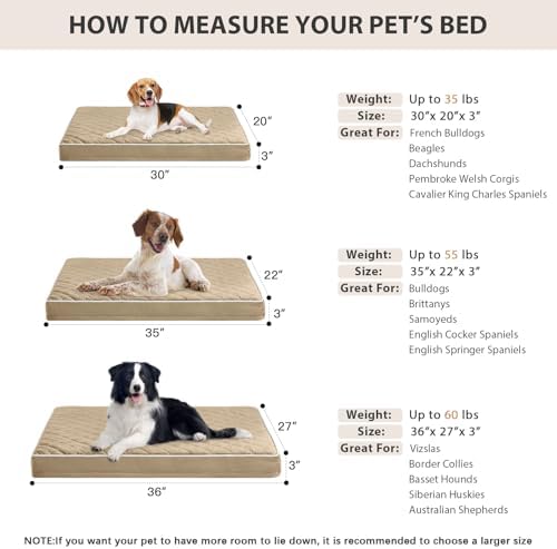 WNPETHOME Orthopedic Waterproof Dog Bed Medium - Image 5