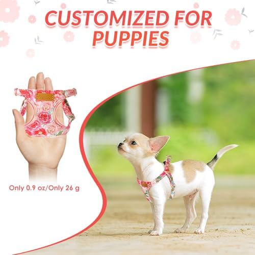 SlowTon No Pull Dog Harness - Image 2
