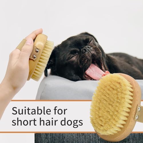 Soft Bristle Pet Brush - Image 5