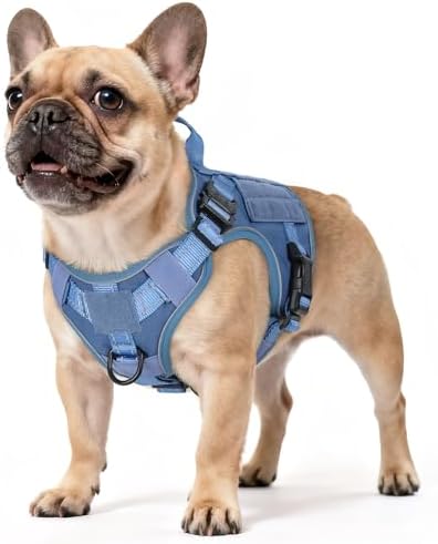 rabbitgoo Tactical Dog Harness for Small, Heavy Duty Military No Pull Vest by rabbitgoo