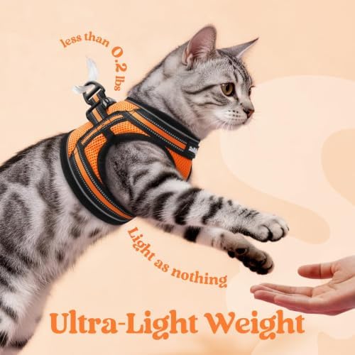 rabbitgoo Cat Harness and Leash Set, Step-in Soft Vest - Image 6