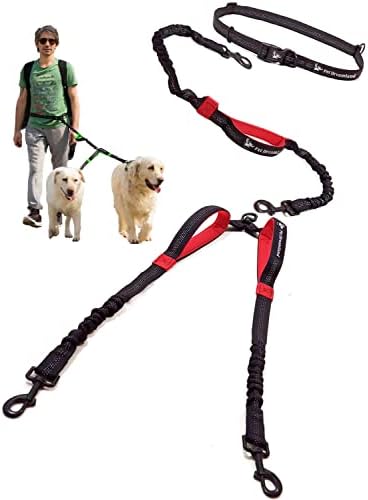 Pet Dreamland Exquisite Hands Free Double Leash by PetDreamland