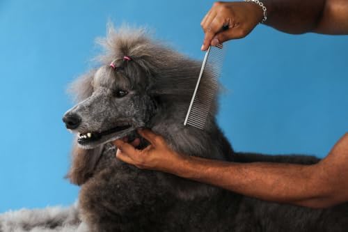 Andis 68550 Stainless Steel Pet Dematting Comb - Image 4