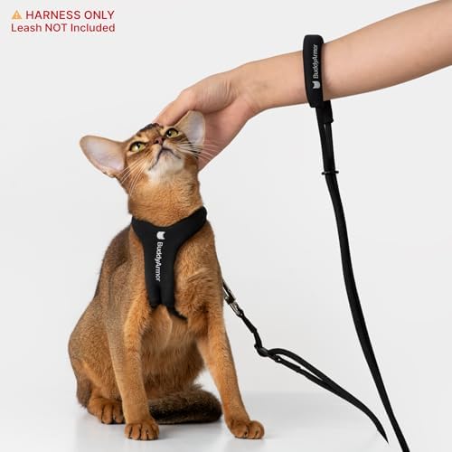 Escape Proof Y Shape Cat Harness Anti-Choke - Image 6
