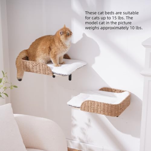 SHENGOCASE 2-Pack Wall Mounted Cat Bed Perch - Image 3