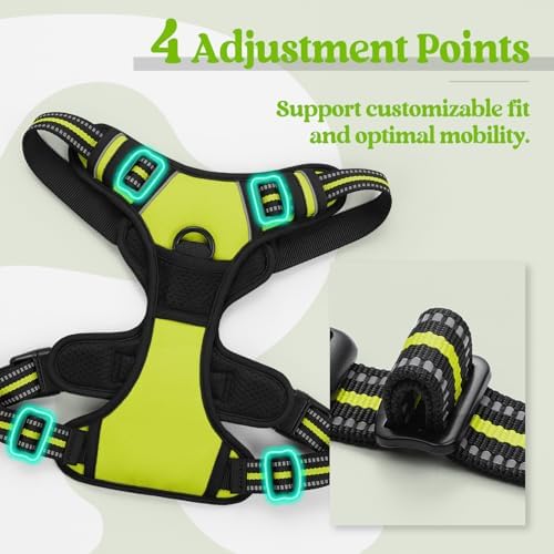 rabbitgoo Dog Harness, No Pull for Small Dogs - Image 4
