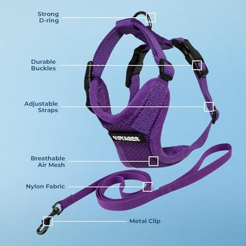 Voyager Step-in Lock Cat Harness & Leash Set - Image 3