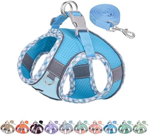 AIITLE Small Dog Harness and Leash Set by AIITLE-FORPETSBETTERLIFE