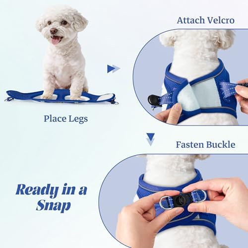 No Pull Dog Puppy Harness and Leash Set Reflective Mesh Vest XX-Small - Image 4