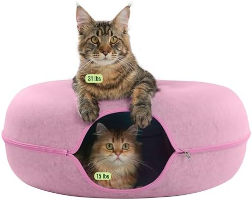 Cattasaurus Peekaboo Cat Cave Donut by Cattasaurus