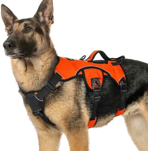 rabbitgoo Escape Proof Dog Harness by rabbitgoo
