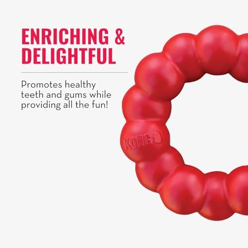 KONG Ring - Natural Rubber Ring Toy - Image 6