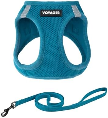 Voyager Step-in Air Cat Harness & Leash Set by BestPetSuppliesLLC