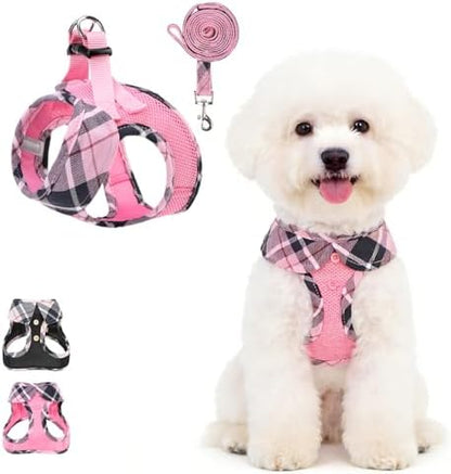 KOOLTAIL Small Dog Harness and Leash Set, Cute Pink Girl Puppy Harness by KOOLTAIL