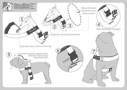 BULLHUG Adjustable Dog Harness– No Pull, No Choke – - Image 6