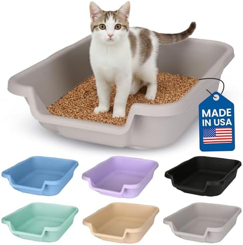 KittyGoHere Senior Cat Litter Box, Small Litter Pan, Small Misty Gray by NE14pets