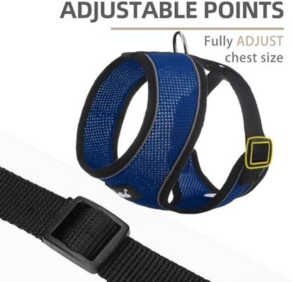 PUPTECK Small Dog Harness and Leash Set No Pull - Image 3
