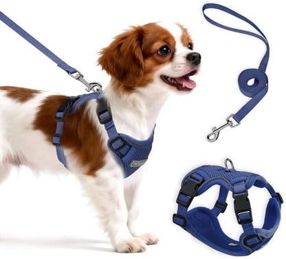 Small Dog Harness and Leash Set, Adjustable Small Sized Pet Vest by Unknown