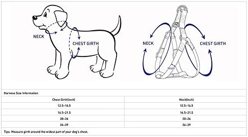 Blueberry Pet Essentials Step-in Dog Harness, Small Size | Adjustable Turquoise - Image 2