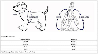 Blueberry Pet Essentials Step-in Dog Harness, Small Size | Adjustable Turquoise - Image 2