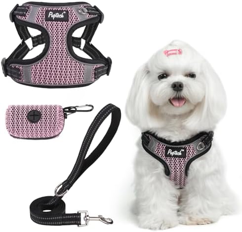 PUPTECK Dog Harness and Leash Set Small Sized, Step in No Pull Adjustable Puppy by PUPTECK
