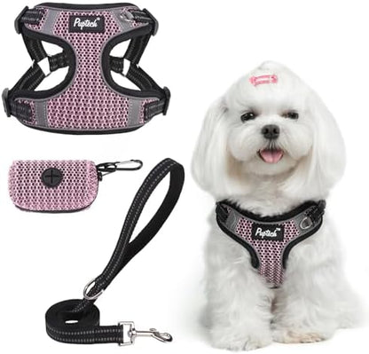 PUPTECK Dog Harness and Leash Set Small Sized, Step in No Pull Adjustable Puppy by PUPTECK