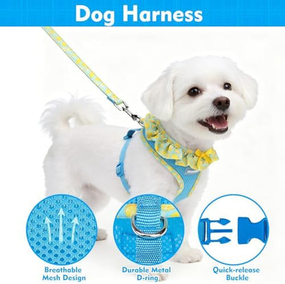 EXPAWLORER Step-in Dog Harness Small Sized and Leash Set - Image 3