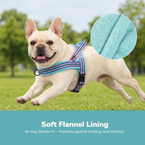 Didog No Pull Dog Harness for Small Dogs, Soft Flannel Padded, Mixed-Blue - Image 2