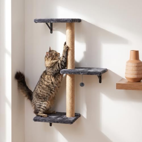 Cat Climbing Wall Systems with Scratching Post & Massager Groomer - Image 4