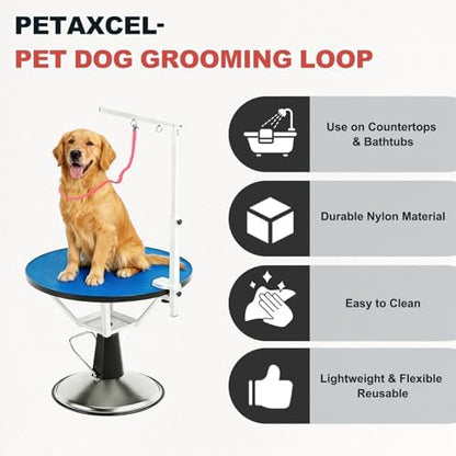 Pet Dog Grooming Loop, Dog Cat Safety Rope - Image 4