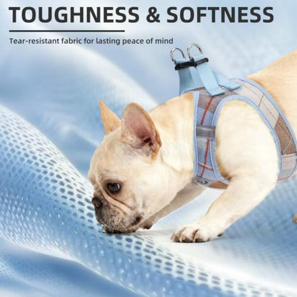 PUPTECK Dog Harness, Collar and Leash Set No Pull - Image 6