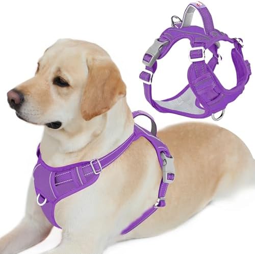 BARKBAY No Pull Dog Harness for Large Dogs, ID Tag Holder Dog Vest by BARKBAY