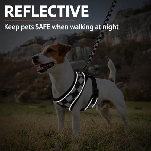 PUPTECK Small Dog Harness and Leash Set No Pull - Image 6