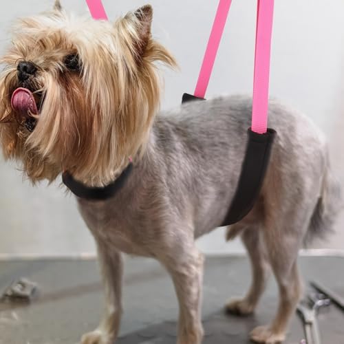 Dog Grooming Belly Strap - Image 6